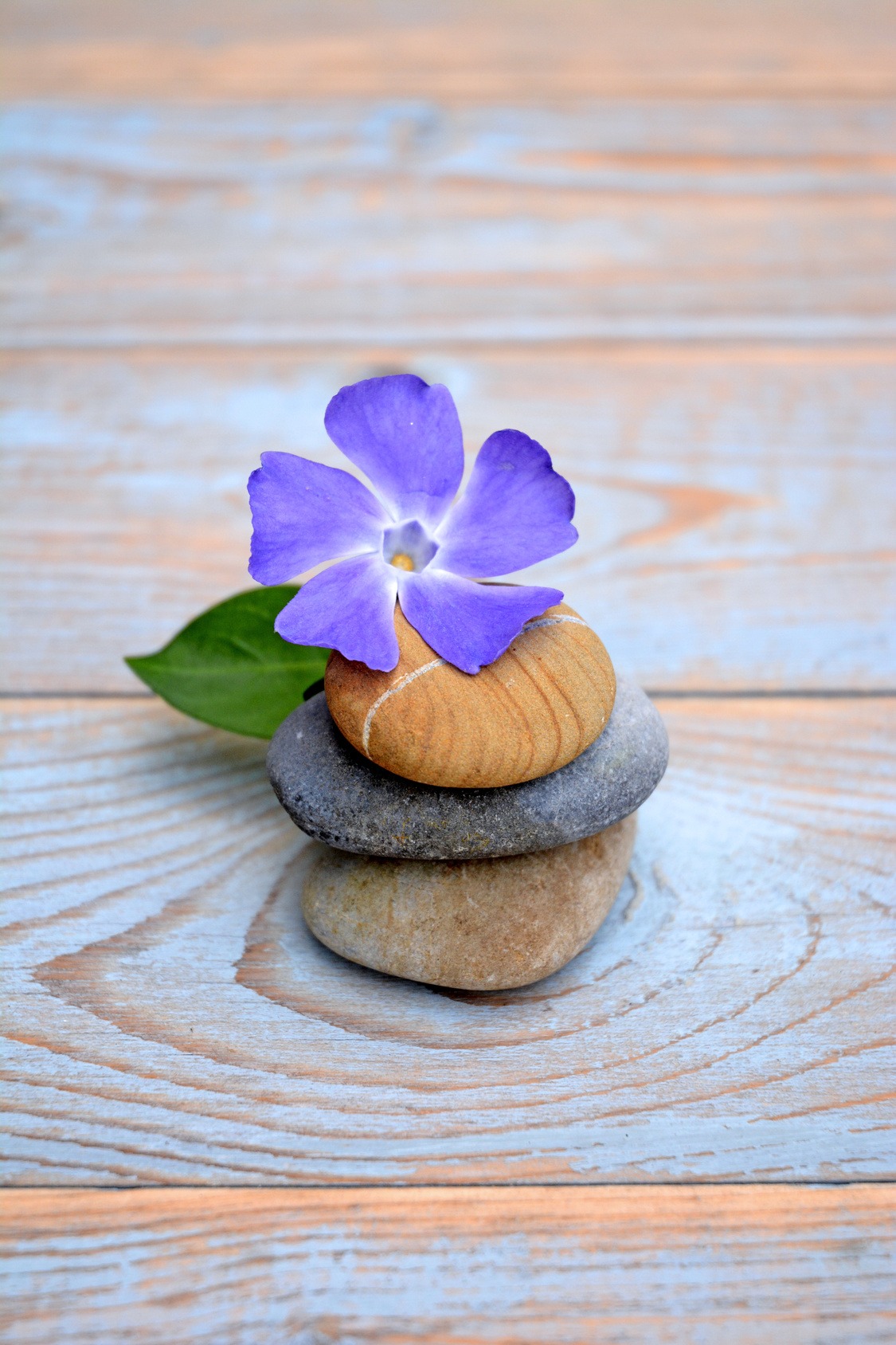 TECNICHE DI MEDITAZIONE E RIEQUILIBRIO ENERGETICO